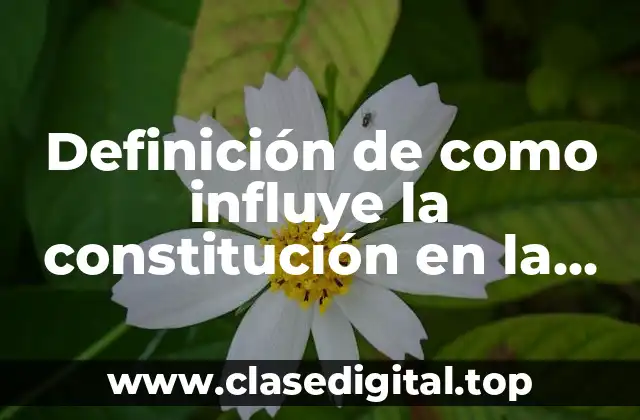 Definición de como influye la constitución en la vida