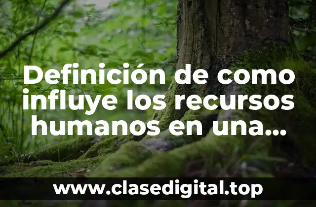 Definición de como influye los recursos humanos en una empresa