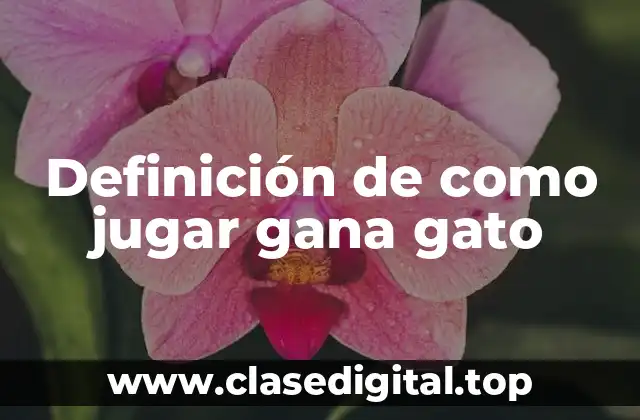 Definición de como jugar gana gato