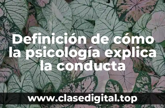 Definición de cómo la psicología explica la conducta