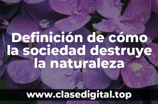 Definición de cómo la sociedad destruye la naturaleza
