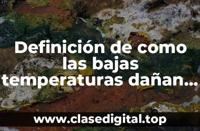 Definición de como las bajas temperaturas dañan los alimentos