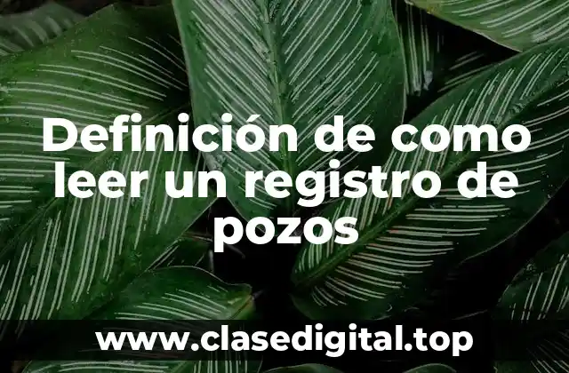 Ejemplos de cómo leer un registro de pozos
