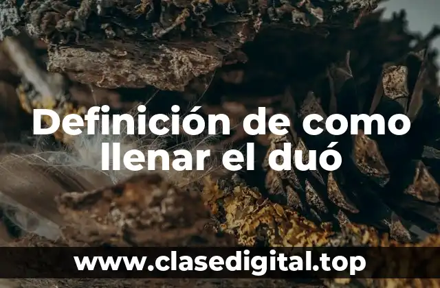 Ejemplos de como llenar el duó