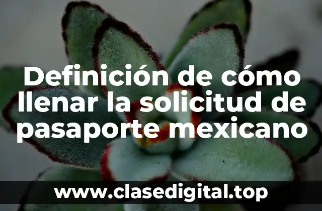 Ejemplos de cómo llenar la solicitud de pasaporte mexicano