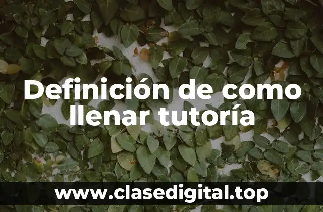 Definición de como llenar tutoría