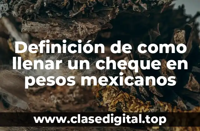 Definición de como llenar un cheque en pesos mexicanos
