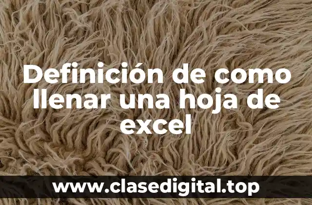 Definición de como llenar una hoja de excel