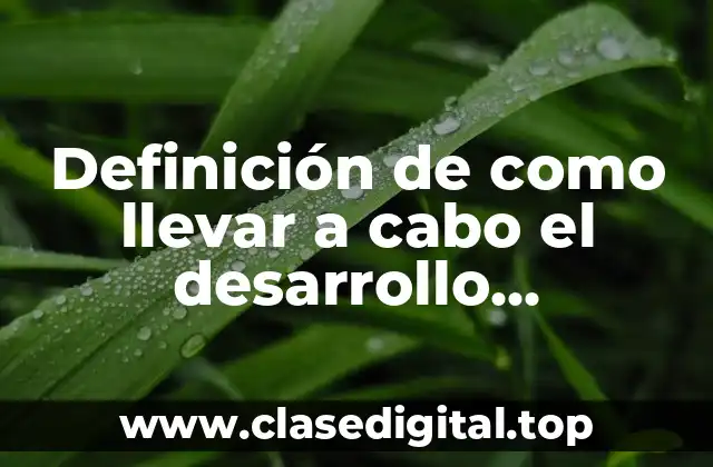 Definición de como llevar a cabo el desarrollo sustentable