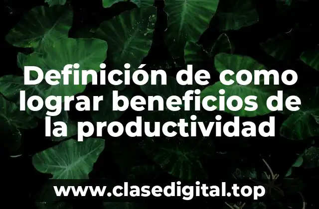 Definición de como lograr beneficios de la productividad