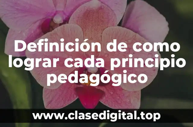 Ejemplos de como lograr cada principio pedagógico