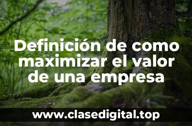 Definición de como maximizar el valor de una empresa