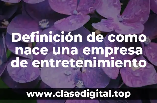 Definición de como nace una empresa de entretenimiento