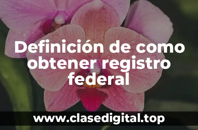 Ejemplos de como obtener registro federal