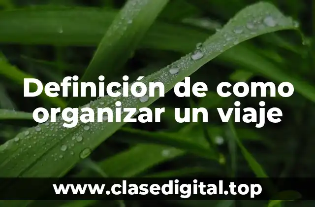 Definición de como organizar un viaje