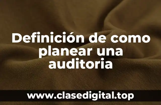 Definición de como planear una auditoria