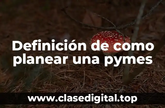 Definición de como planear una pymes