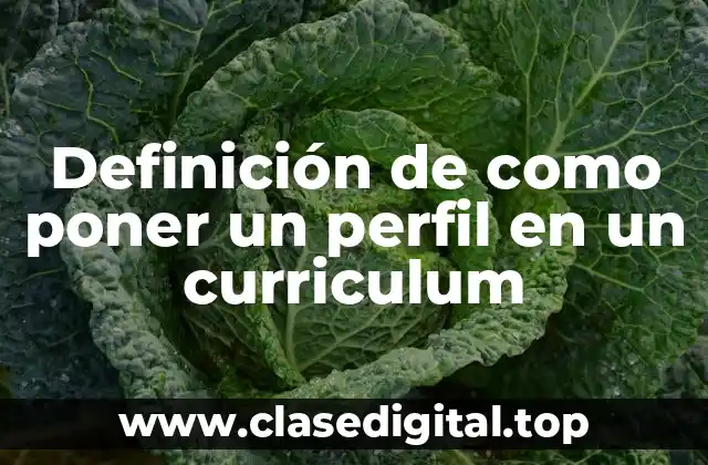 Ejemplos de perfiles en un curriculum