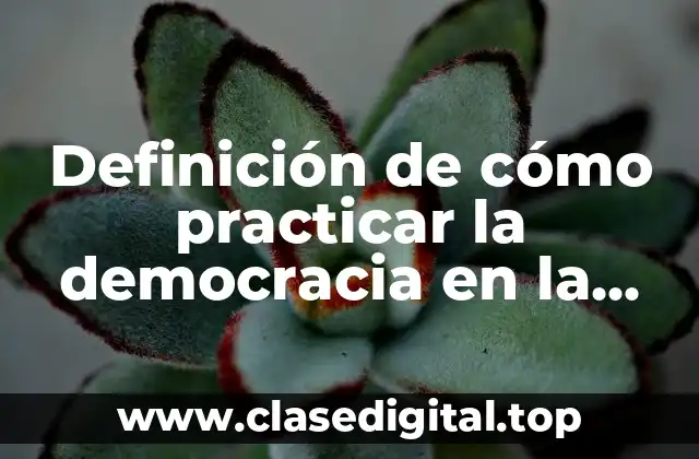 Definición de cómo practicar la democracia en la comunidad