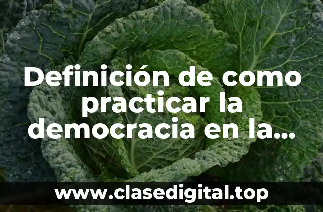 Definición de como practicar la democracia en la escuela