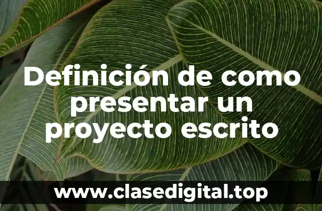 Definición de como presentar un proyecto escrito