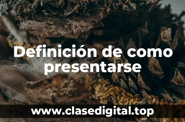 Ejemplos de como presentarse