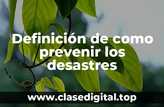 Definición de como prevenir los desastres