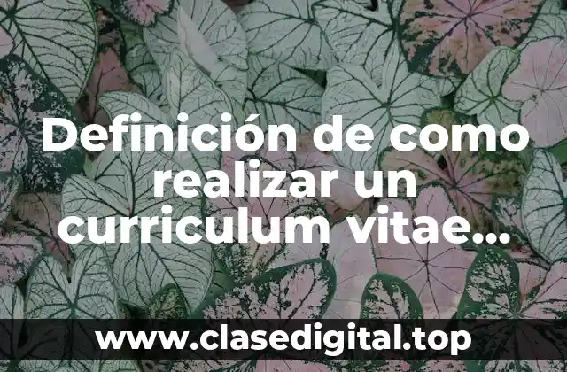 Definición de como realizar un curriculum vitae cronologico inverso