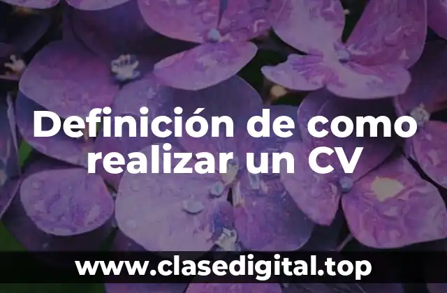 Definición de como realizar un CV