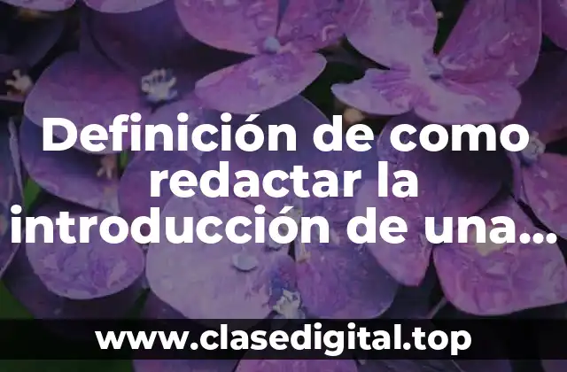 Definición de como redactar la introducción de una tesis