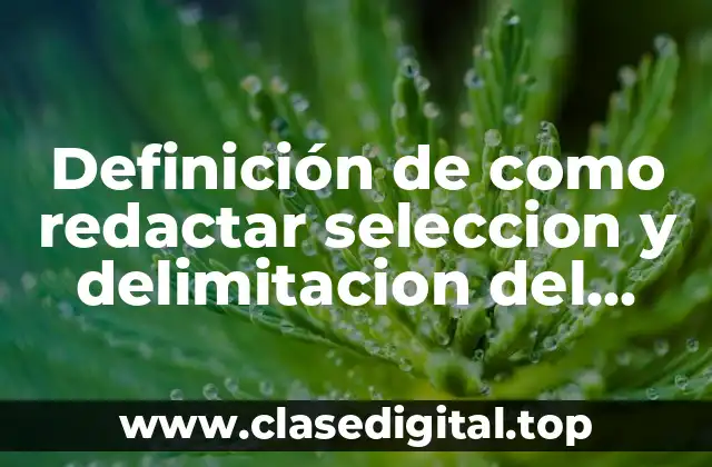 Definición de como redactar seleccion y delimitacion del tema