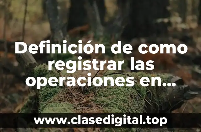 Definición de como registrar las operaciones en esquemas de mayor