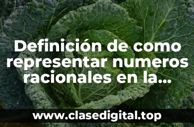 Definición de como representar numeros racionales en la recta numerica