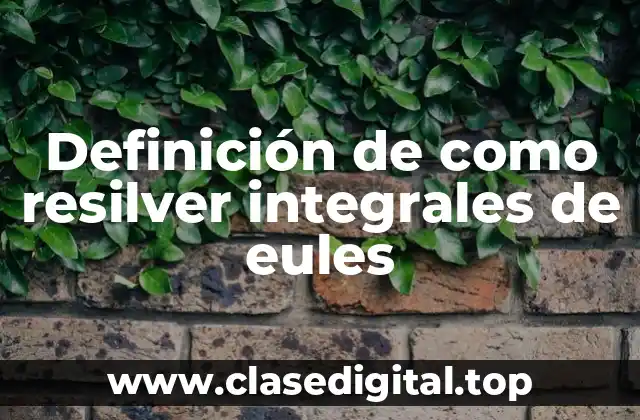 Definición de como resilver integrales de eules
