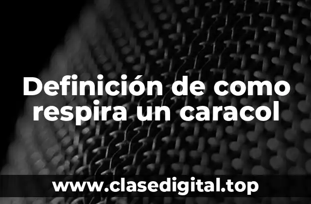 Definición de como respira un caracol