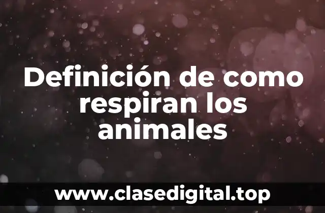 Definición de como respiran los animales