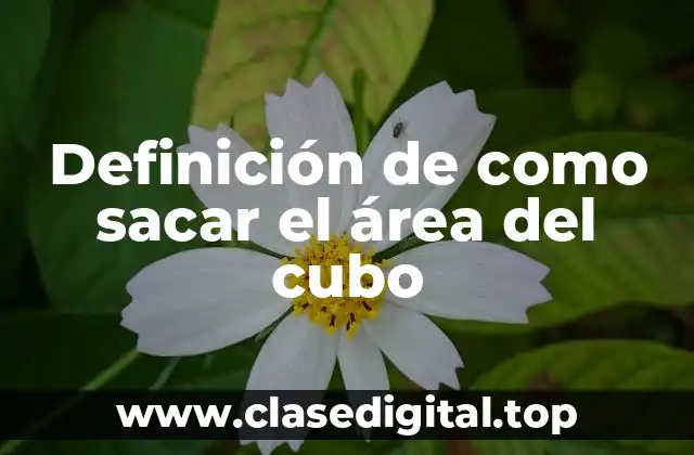 Definición de como sacar el área del cubo