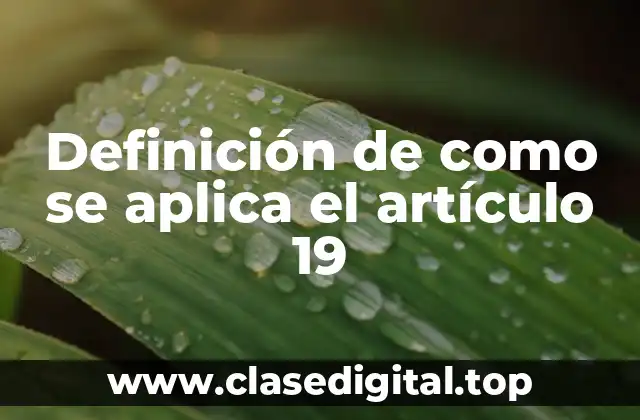 Definición de como se aplica el artículo 19