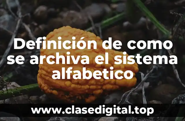 Definición de como se archiva el sistema alfabetico