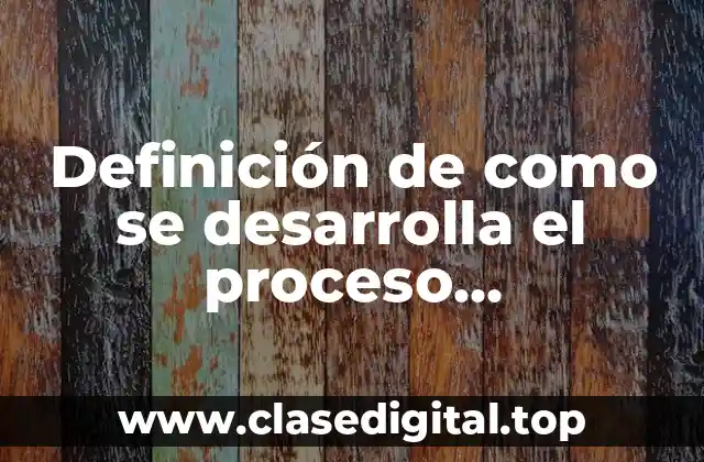 Definición de como se desarrolla el proceso comunicativo