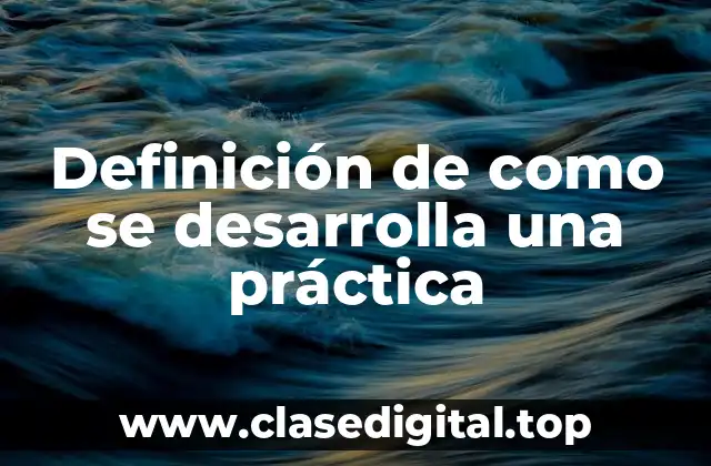 Definición de como se desarrolla una práctica