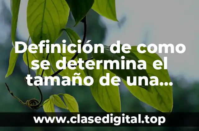 Ejemplos de como se determina el tamaño de una muestra