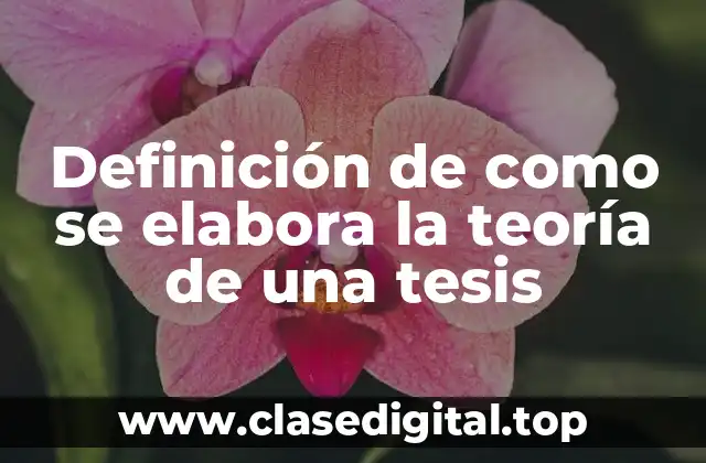 Definición de como se elabora la teoría de una tesis