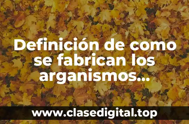 Definición de como se fabrican los arganismos genéticamente modificados