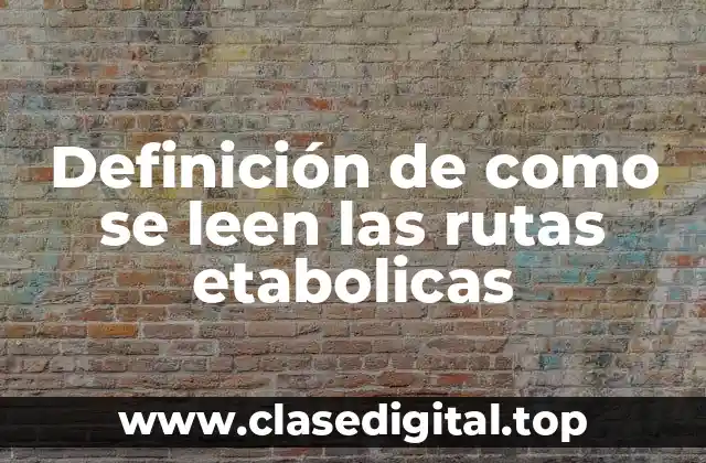 Definición de como se leen las rutas etabolicas