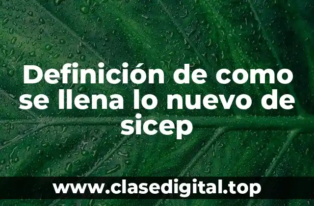 Definición de como se llena lo nuevo de sicep