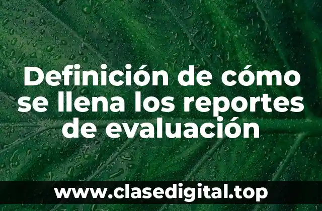 Definición de cómo se llena los reportes de evaluación