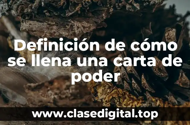 Ejemplos de carta de poder