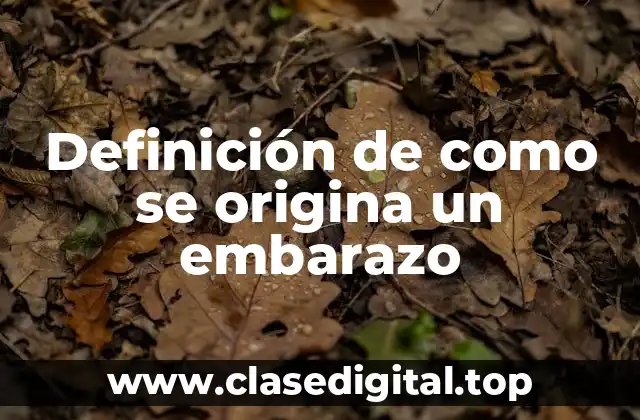 Definición de como se origina un embarazo