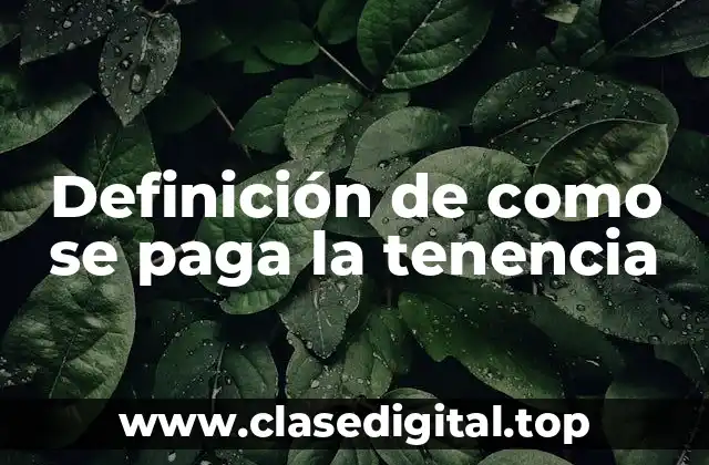 Definición de como se paga la tenencia
